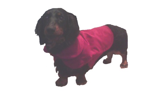 Red_corduroy_coat_large