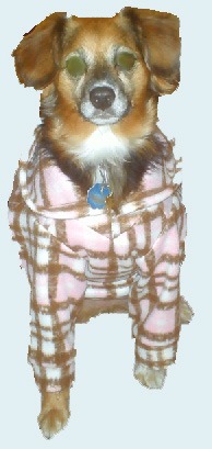 Pinkwhitebrown_plaid_large