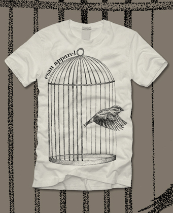 Bird_large
