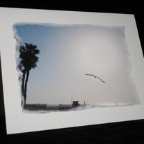 Ba024_medium