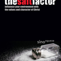 The Salt Factor - Sino Agueze
