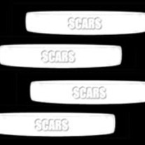 Scars Wristband (5 pack)