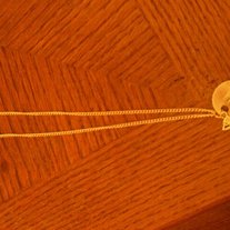 Pinneck2_medium