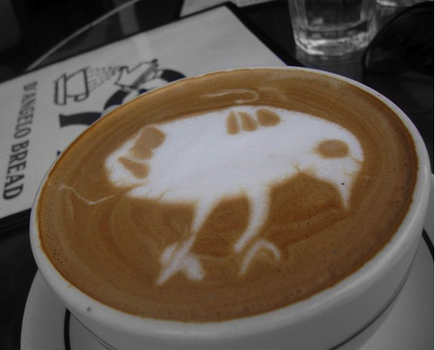 Coffee Us