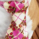 Pinkcrisscrosscu_small