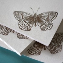 Spring Butterfly