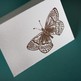 Spring_butterfly2_small