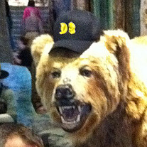 Don Sturdy D$ Logo Hat