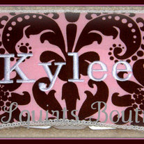 Lfsb_wipe_cases_pink_and_brown_damask_medium