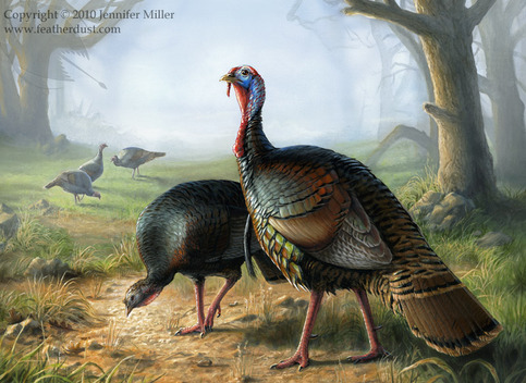 "Rio Grande Turkeys" Acrylic Painting