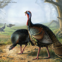 "Rio Grande Turkeys" Acrylic Painting