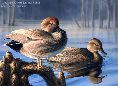"Cypress Gadwalls" - Acrylic Painting