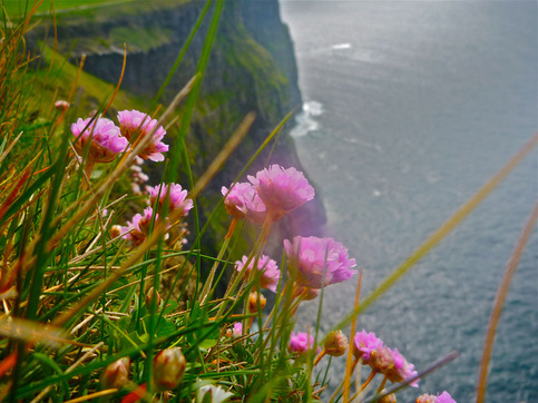 Cliffs_of_moher_large