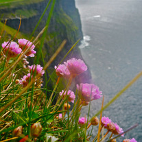Cliffs_of_moher_medium