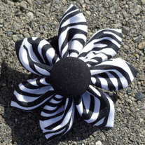Fabulous Flowers - Zebra