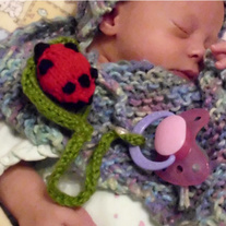 Ladybug_paci_holder_medium