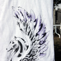 Pegasus_front_colose_web_medium