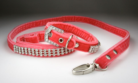Collar_lead1_large
