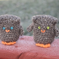 Owls_medium