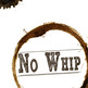 No_whip_cover_small