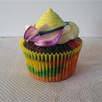 Rainbow SWIRL Cupcakes (per dozen)