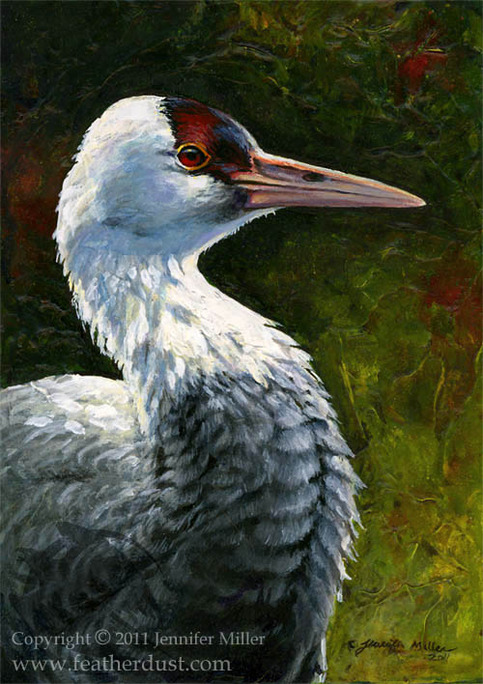 "Hooded Crane" Acrylic Painting