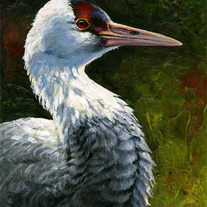 "Hooded Crane" Acrylic Painting