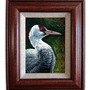 "Hooded Crane" Acrylic Painting - Thumbnail 1