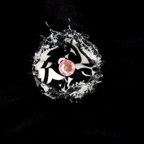 Black & White Swirl Karing