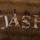 Dash_small