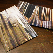 Metallic Forest Postcards set of 2
