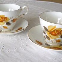 Yellowregal_medium