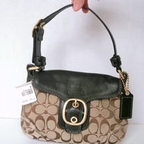 Purses_2011-03-05_107_medium