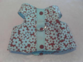 Front_harness_large