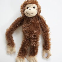 [42] Monkeys