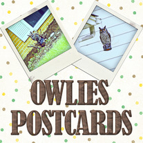A Pair of Owls Postcard Set
