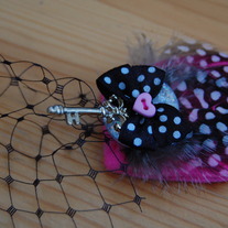Reserved! No.76 The Key to the Spotty Dotty.