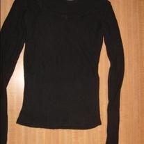 Delias_medium