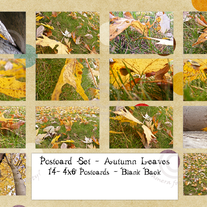 Autumn Leaves Postcard Set