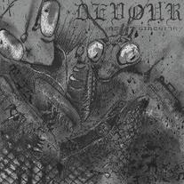 Devour - Insect Circuitry 7"