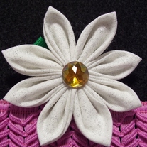 100_3794_800x533__medium