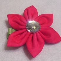 100_4321_1000x884__medium