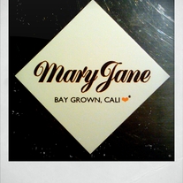 Black & Orange Cell Stickie