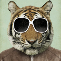 Cooltiger_medium
