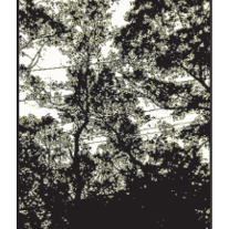 Bje_medium