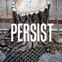 Persist_536x800__medium