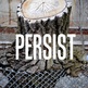 Persist_536x800__small
