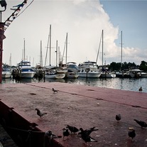 DC Wharf #1 8x12 Archival Print