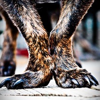 Legs 8x10 Archival Print