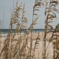 Rodanthe #1 8x12 Archival Print
